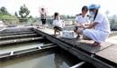 我國將加快國家地下水監測工程建設