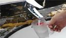 飲用水水源水質大起底 24省份98處出現超標