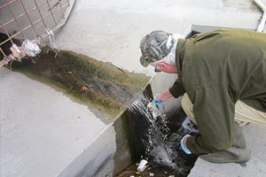 維護水質分析儀的離子傳感器時要注意哪些問題